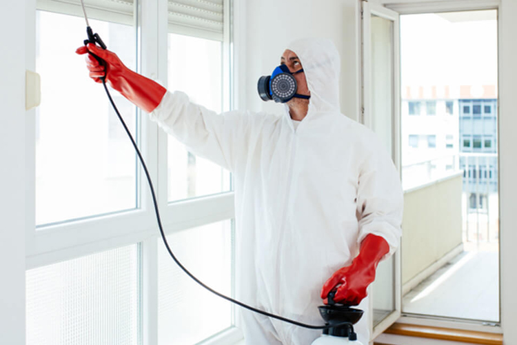 Ev İlaçlama Nazilli Böcek İlaçlama HK Çevre Sağlığı